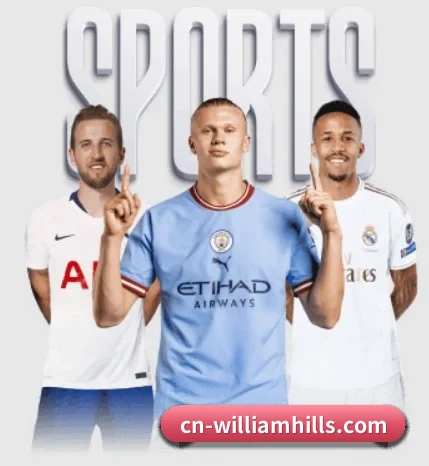 用内容积累长期价值（williamhill）