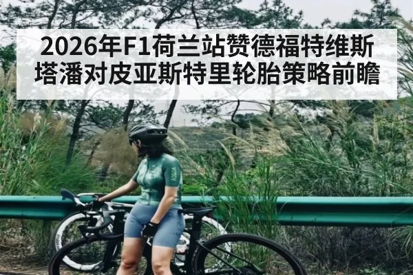 2026年F1荷兰站赞德福特维斯塔潘对皮亚斯特里轮胎策略前瞻
